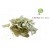 Infusion d'eucalyptus