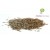 Graines de cumin