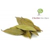 Feuilles de laurier