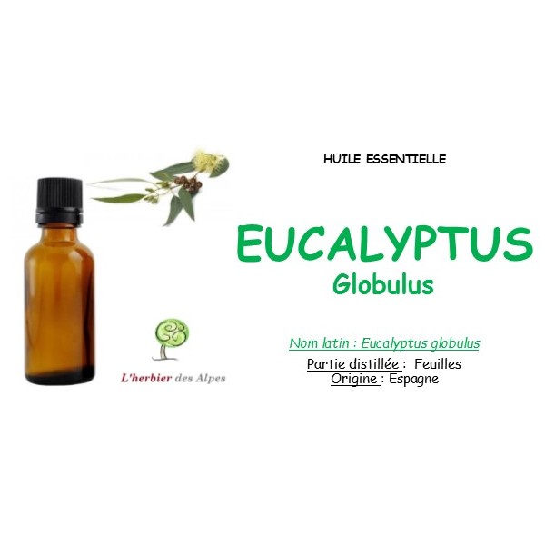 Huile Essentielle Eucalyptus Globulus 50 ml Espagne - flacon verre
