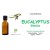 EUCALYPTUS GLOBULUS