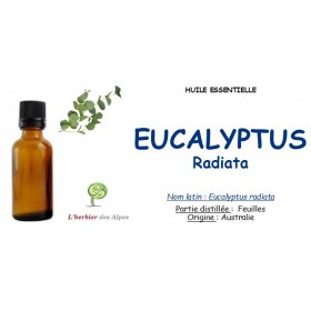 Huile essentielle d'eucalyptus radiata