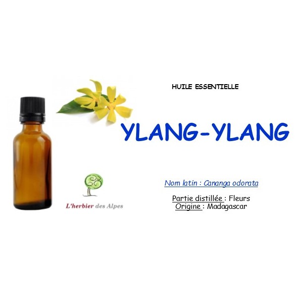 L'Huile Essentielle Ylang Ylang 100ml - Cananga Odorata - Huile  Aromathérapie - 100% Naturelle - Huile Ylang-Ylang pour la Peau et les  Cheveux - les