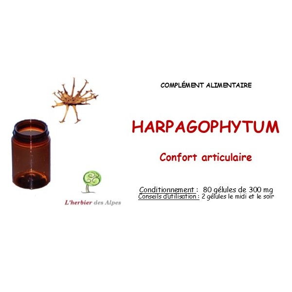 Gélules d'harpagophytum